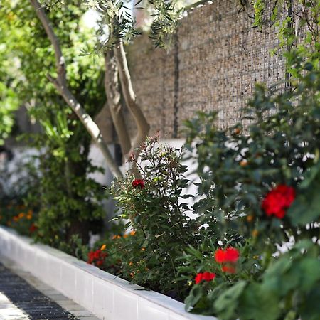 Vila Feliz - Premium Rooms With Free Private Parking Avlonya Dış mekan fotoğraf