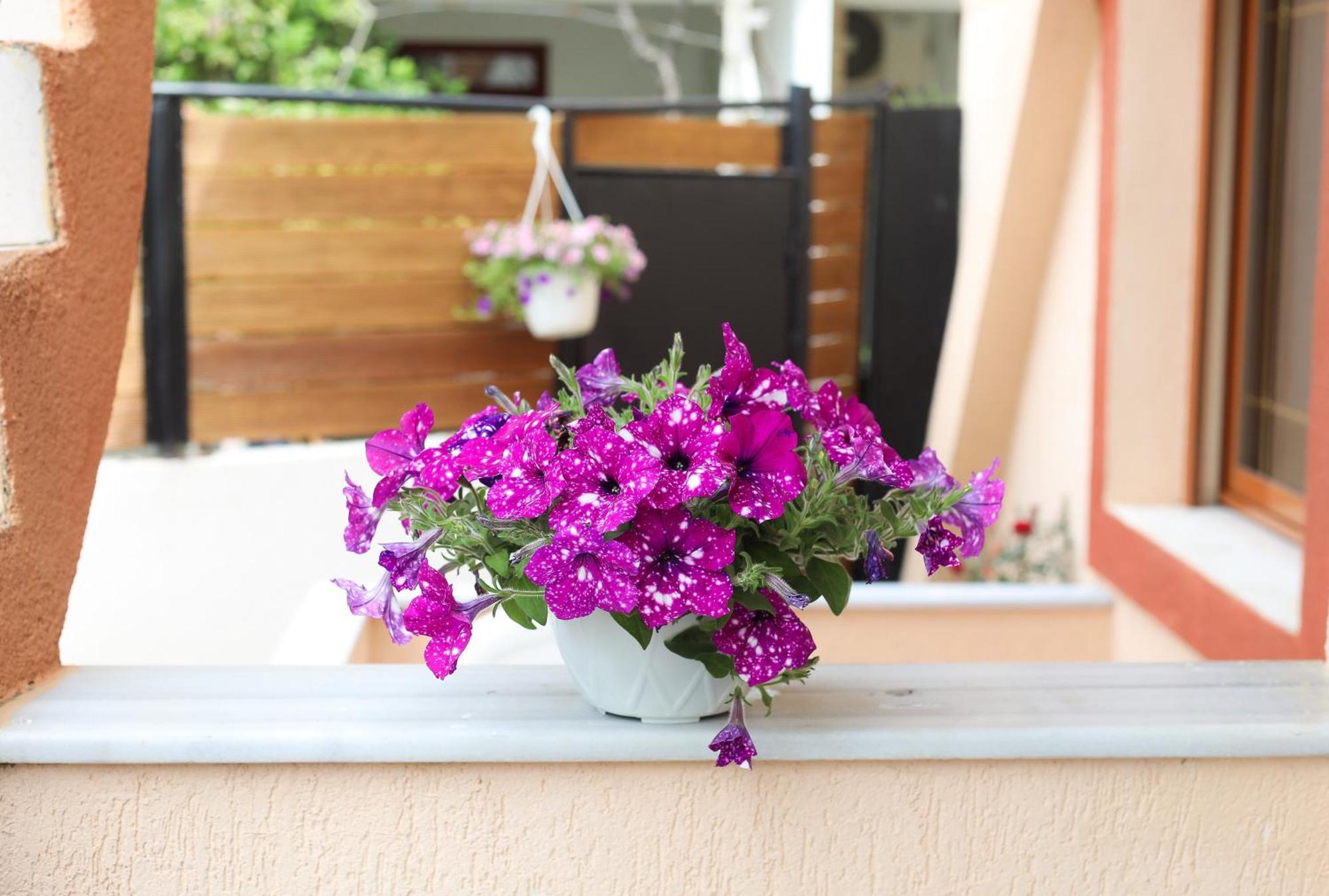 Vila Feliz - Premium Rooms With Free Private Parking Avlonya Dış mekan fotoğraf