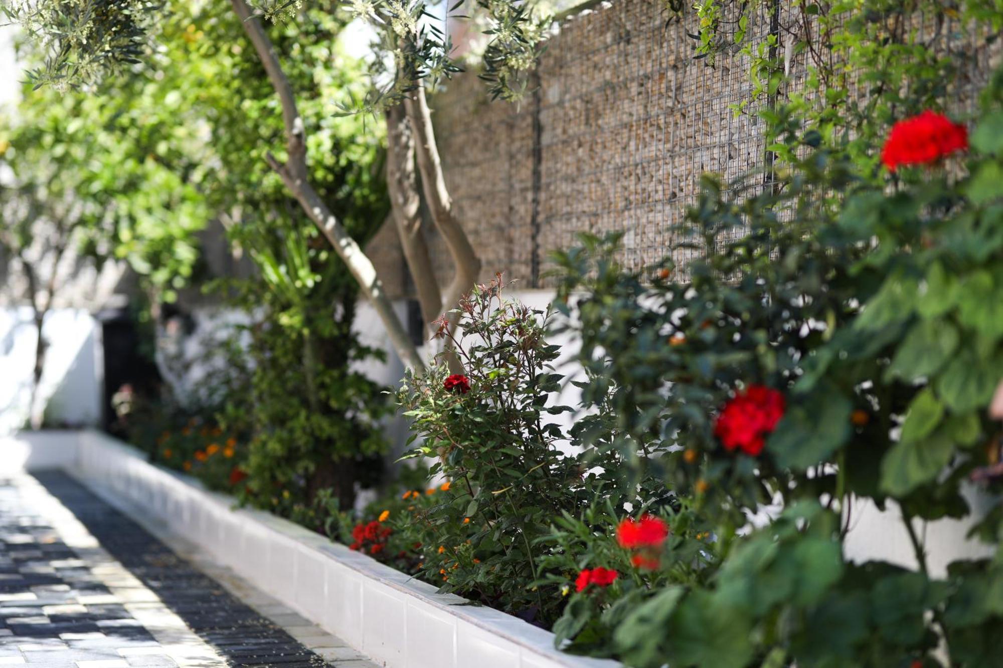 Vila Feliz - Premium Rooms With Free Private Parking Avlonya Dış mekan fotoğraf