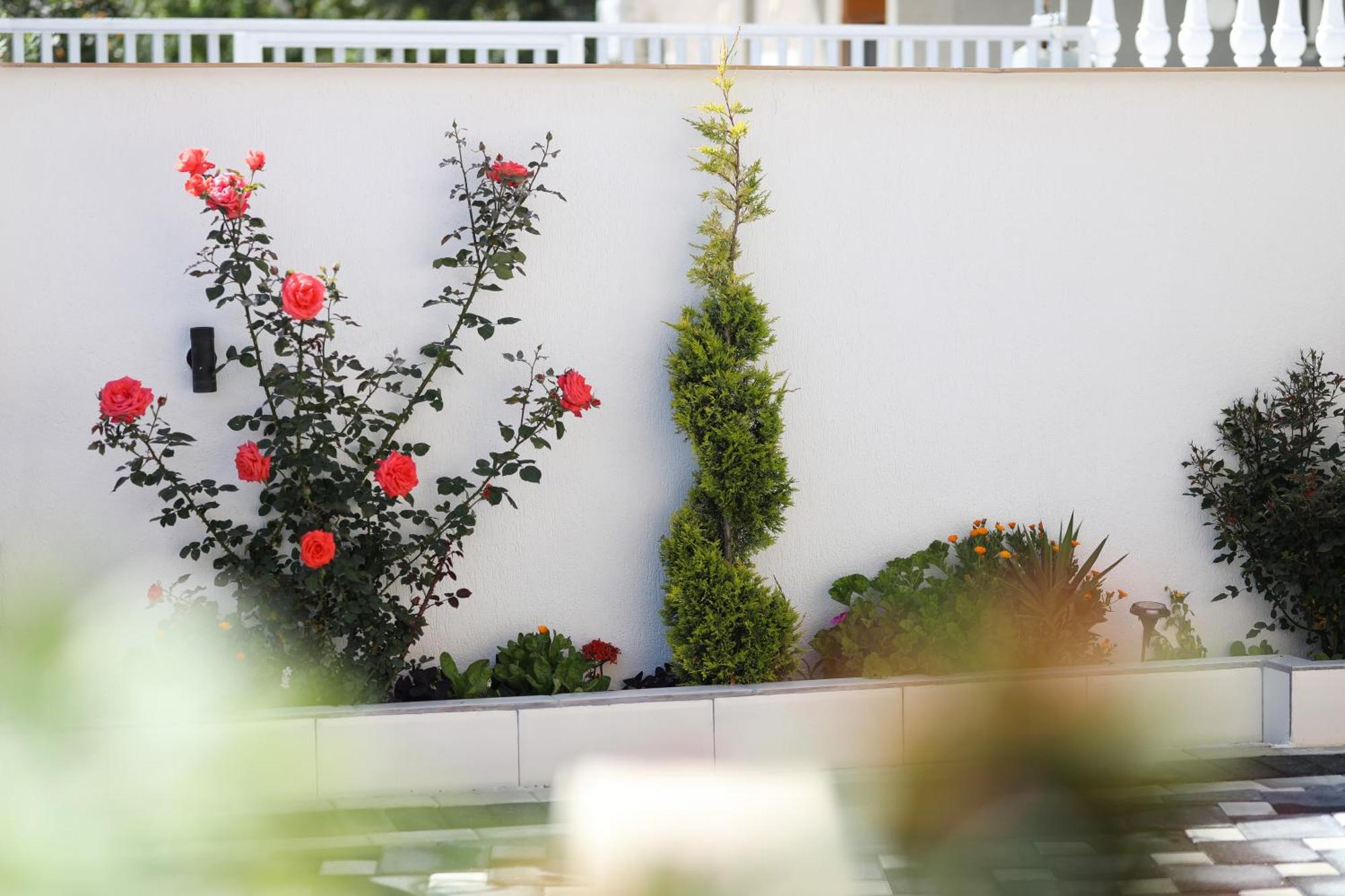 Vila Feliz - Premium Rooms With Free Private Parking Avlonya Dış mekan fotoğraf