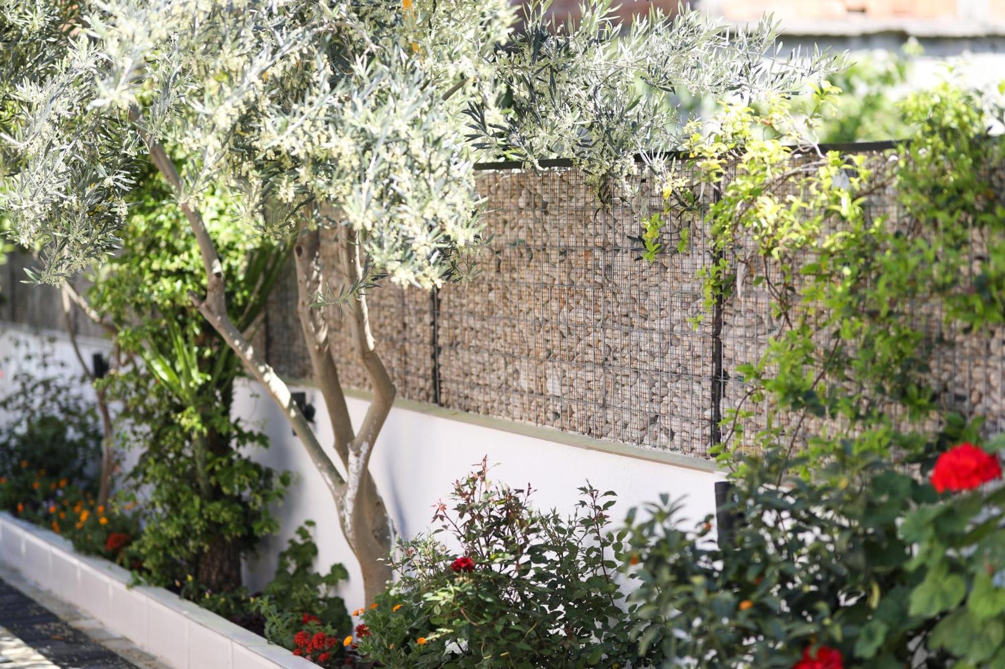 Vila Feliz - Premium Rooms With Free Private Parking Avlonya Dış mekan fotoğraf